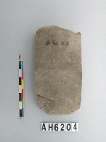 藏品(大型磨製有段石錛)的圖片